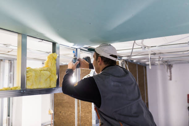 Best Energy Efficiency Solutions in Saranac, MI
