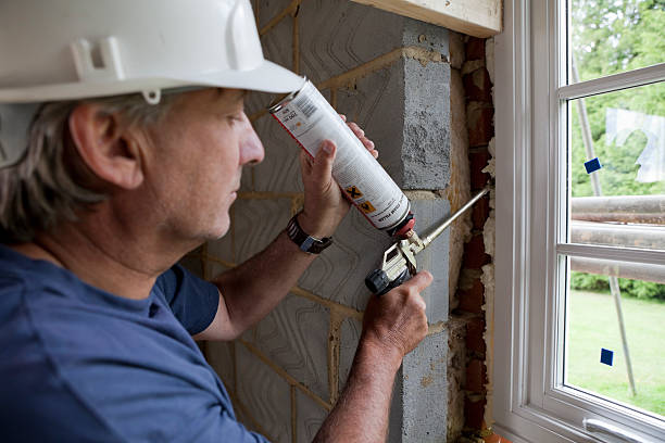 Best Residential Insulation in Saranac, MI