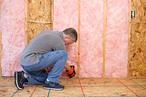 Best Insulation Installation Services in Saranac, MI