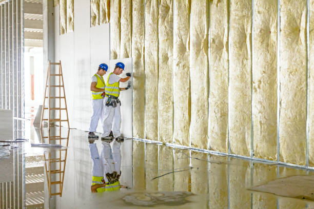 Best Specialty Insulation in Saranac, MI